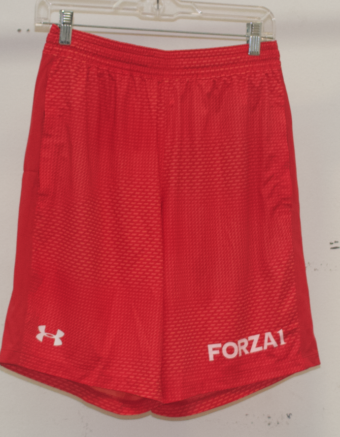 Under Armour Red Boys Shorts